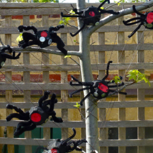 Black spiders hanging from a tree.